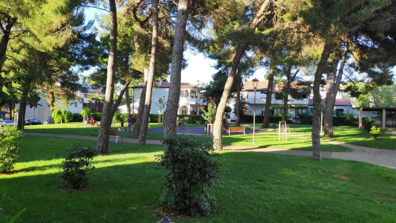 Apartment Morena